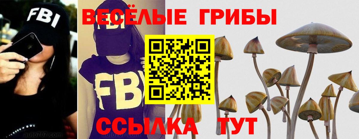 Галлюциногенные грибы Psilocybine cubensis  Галлюциногенные грибы мицелий  Кубинка  продажа наркотиков  Вход с VPN 